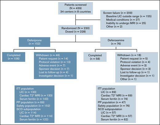 Participant flow.