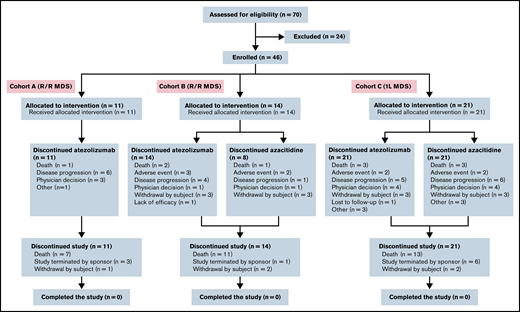 GO29754 patient disposition. 1L, frontline.