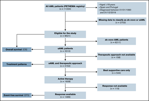 Consolidated Standards of Reporting Trials (CONSORT) diagram for secondary AML adult patients.