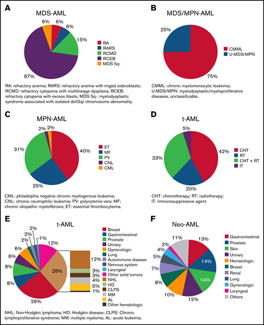 Description of disorders diagnosed before AML. (A) Type of previous MDS in patients included in MDS-AML group. Patients with nonspecified and unclassifiable MDS were not included in this figure. (B) Type of previous MDS/MPN in patients included in MDS/MPN-AML group. (C) Type of previous MPN in patients included in MPN-AML group. (D) Type of previous therapy in patients included in t-AML group. (E) Type of previous neoplasm in treated patients included in t-AML group. (F) Type of previous solid neoplasm in patients with cancer antecedents without prior treatment.
