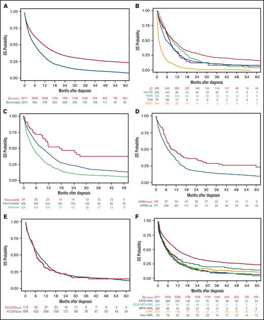 OS of the AML patients included in the study according to different disease characteristics or therapeutic approach. (A) OS in the entire cohort of 8521 patients with AML according to type of AML (P < .001). (B) OS in secondary AML according to therapeutic approach (P < .001). (C) OS in secondary AML according to cytogenetic risk (P < .001). (D) OS in secondary AML according to NPM1 mutation (P < .001). (E) OS in secondary AML according to FLT3-ITD mutation (P = .45). (F) OS in secondary AML according to the different subgroups (P = .04).