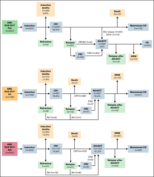 Treatment disposition of patients according to responses and outcomes of patients of each ELN 2017 risk category.
