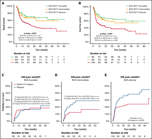 Outcome after alloSCT according to ELN 2017 risk category. (A) OS after alloSCT according to the ELN 2017 risk categories. (B) EFS after alloSCT according to the ELN 2017 risk categories. (C-E) CI of relapse and death without relapse of patients allocated in the ELN 2017 favorable (C), intermediate (D), and adverse (E) risk category. Pairwise comparison of OS, EFS, and CIR has been adjusted with the Bonferroni method. Starting time for the analysis is the date of alloSCT.