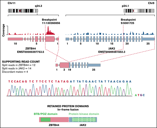 Novel ZBTB44-JAK2 fusion detected in a patient with Ph-like ALL. Exon 2 of ZBTB44 fused in-frame to exon 19 of JAK2, conserving an intact kinase domain. The fusion was validated by reverse transcriptase polymerase chain reaction and Sanger sequencing. The figure was adapted from Arriba output.