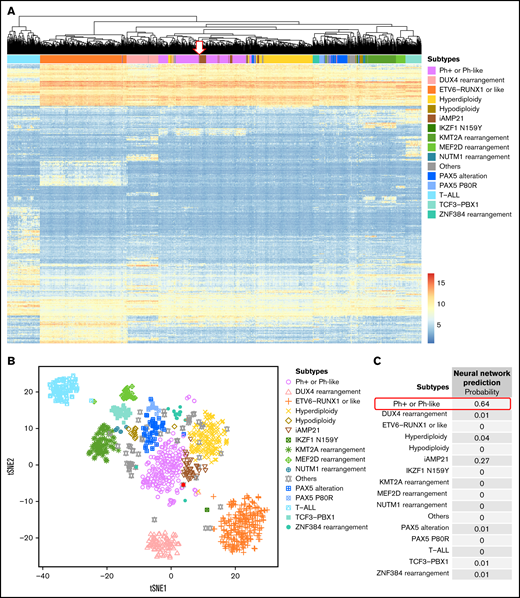 Molecular subtype clustering of patients with ALL based on gene expression signatures. (A) Hierarchical clustering and (B) experimental t-distributed stochastic neighbor embedding (tSNE) performed using the top 500 variable genes from 1134 ALL samples from both in-house and public RNA-seq data sets. (C) The neural network probability score for each of the subtypes listed for panels A-C. Results for patient #124 are shown by the arrow in A and the red dot in B.