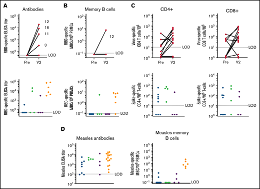 Immune response to vaccination. (A) Antibodies: RBD-specific end point enzyme-linked immunosorbent assay (ELISA) titer following COVID-19 mRNA vaccination: prior to vaccination and V2 following 2-dose vaccination series (24-103 days) (upper panel) is shown. Individual subject numbers are shown (3, 11, 12, and 16) for responders. RBD-specific ELISA titer stratified by treatment group; geometric mean titer (GMT) of responders is shown above the graph (lower panel). The limit of detection (LOD) is set at 50; samples below the LOD were given an arbitrary value of 49. Healthy subject samples were taken (13-28 days) following the 2-dose vaccination series (lower left panel). (B) RBD-specific memory B-cell frequency per 106 peripheral blood mononuclear cells (PBMCs) following COVID-19 mRNA vaccination: prior to vaccination and V2 (24-103 days) following the 2-dose vaccination series (upper panel). Only subject 12 developed an MBC response. RBD-specific MBC frequency stratified by treatment group (lower panel). Geometric mean titer of responders is shown above the graph. Healthy subject samples (247-264) post 2-dose vaccine series are included (lower right panel). LOD = 0.1; an arbitrary number (0.08) was assigned to samples below the LOD. (C) S-specific CD4 (left upper panel) and CD8 (right upper panel) T-cell frequency per 106 T cells following COVID-19 mRNA vaccination: prior to vaccination and V2 following 2-dose vaccination series (24-103 days) (lowerpanel). S-specific CD4+ and CD8+ response to vaccination: the increase in T-cell expansion from baseline, stratified by treatment group (lower panel). Geometric mean titer of responders is shown above the graph. LOD = 10; for subjects without a vaccine-specific response, an arbitrary value between 1.1 and 1.5 was assigned. (D) Humoral immune recall response to a childhood antigen (measles) in subjects with CLL and age/sex-matched healthy controls. Antibodies: measles-specific end point ELISA titer stratified by treatment group (left panel). LOD = 100; samples below the LOD were assigned an arbitrary value of 80. Geometric mean titer of responders is shown above the graph for each group. Memory B cells: measles-specific MBC frequency stratified by treatment group (right panel). Geometric mean frequency of responders is shown above the graph. LOD = 0.1; an arbitrary number between .05 and .1 was assigned to those samples. Red, active treatment; blue, observation after treatment; green, treatment naive; yellow, healthy age/sex-matched controls.