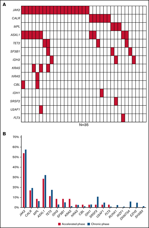 Mutation profile and outcome in accelerated-phase myelofibrosis. (A) Waterfall plot on mutation pattern in 35 patients with accelerated-phase myelofibrosis, of whom 3 patients showed no detectable mutation. (B) Percentage of patients with detected mutation in accelerated-phase (N = 32) and chronic-phase myelofibrosis (N = 307) for a panel of 19 sequenced genes.