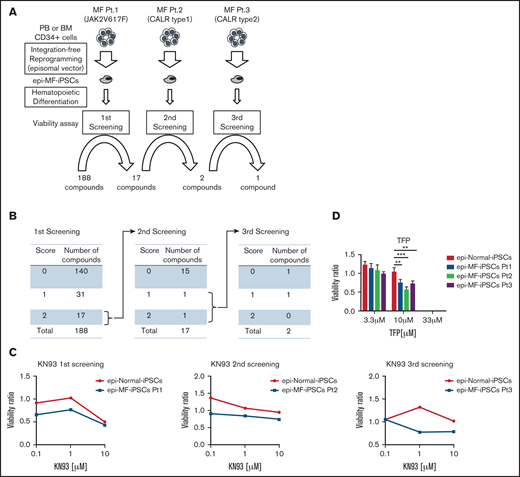 CAMK2 inhibitors were identified by the compound screening using MF-iPS cells established with episomal vectors. (A) Three rounds of the compound screening were performed with 188 compounds, including kinase inhibitors, genotoxic agents, and neurotransmitter inhibitors at 3 different concentrations. (B) The first screening was performed with MF-iPSCs harboring JAK2 V617F. After choosing 17compounds, the second screening was performed with MF-iPSCs harboring CALR type 1 mutation. After 3 rounds of screening, KN-93 (CAMK2 inhibitor) was identified as a therapeutic compound. (C) Results of the screening of KN-93 for all 3 MF-IPSCs are shown. (D) TFP, another CAMK2 inhibitor, was used to validate the effectiveness against all 3 MF-iPSCs. Results are means ± SD. ANOVA test: *P < .05, **P < .01, ***P < .001.