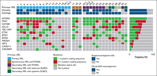 Mutational landscape of VRL. Each column represents a sample and each row a specific analysis. Genes are ordered from top to bottom according to the mutational frequency across all samples, with the percentages shown on the right side. In cases 16 and 20, 2 and 3 vitreous samples, respectively, from different time points were analyzed. *For case 29, only a retinal biopsy specimen was available.
