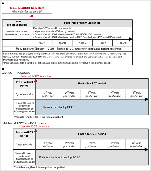 Study design, timeframe, and measures. (A) study design and timeframe requirements for all patient cohorts. (B) The study design and timeframe requirements for propensity score matched alloHSCT-NIPC patients and alloHSCT non-NIPC patients.