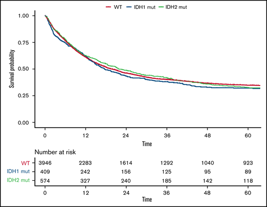OS according to IDH mutations. Kaplan-Meier plot for OS of patients with AML with mutated IDH1 (blue), mutated IDH2 (green), and WT IDH1/2 (orange); time in months.