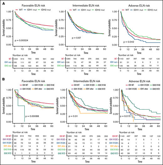 OS according to different mutational subtypes of IDH in ELN 2017 risk categories. Kaplan-Meier plots for OS of patients with AML according to ELN 2017 favorable-, intermediate-, and adverse-risk categories for patients with mutated IDH1 (blue), mutated IDH2 (green), and WT IDH1/2 (orange) (A) and for respective mutational variants of IDH1/2: IDH1-R132H (blue), IDH1-R132C (purple), IDH1 other (R132G, R132S, or R132L; yellow), IDH2-R140 (green), IDH2-R172 (turquoise), and WT IDH (orange) (B). P values were determined with the log-rank test; time in months.