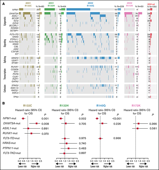 Heatmap of frequent comutations of IDH mutational subtypes and impact on survival. (A) Heatmap grouped for epigenetic, signaling, splicing, transcription, and cohesion pathways for IDH1/2 mutational subtypes. (B) OS analysis of the impact of frequent comutations.