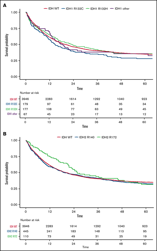 OS for all patients according to IDH1 and IDH2 mutations. Kaplan-Meier plots for OS of patients with AML with mutated IDH1: IDH1-R132C (blue), IDH1-R132H (green), IDH1 other (R132G, R132S, or R132L) (purple), and WT IDH (orange) (A) and mutated IDH2: IDH2-R140 (blue), IDH2-R172 (green), and WT IDH (orange) (B); time in months.
