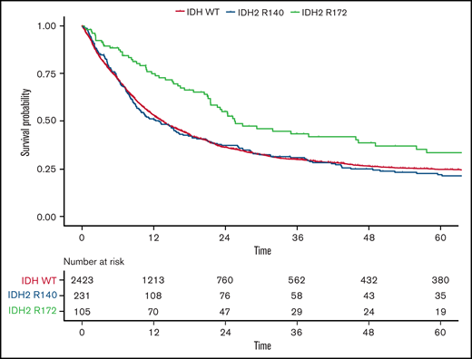 OS according to IDH2 mutational status in ELN 2017 intermediate- and adverse-risk patients. Kaplan-Meier plots for OS of patients with AML within the ELN 2017 intermediate- and adverse-risk group in regard to mutated IDH2-R140 (blue), mutated IDH2-R172 (green), and WT IDH (orange); time in months.