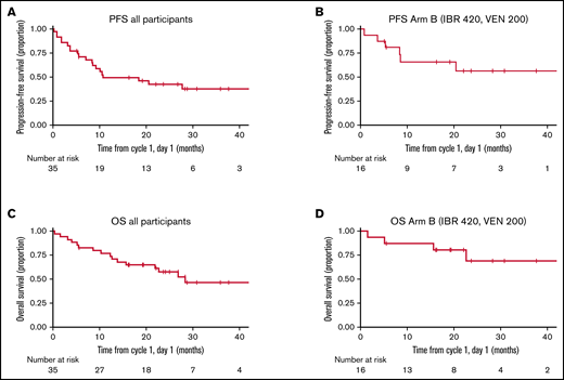 PFS and OS. (A) PFS for all participants. (B) PFS for the optimal dose, arm B (IBR 420 mg daily and VEN 200 mg daily). (C) OS for all participants. (D) OS for the optimal dose, arm B (IBR 420 mg daily and VEN 200 mg daily).