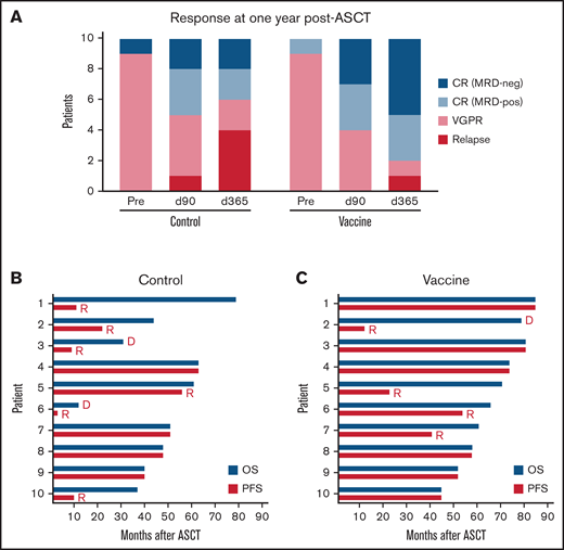 Clinical responses after ASCT and mRNA-electroporated LC vaccines. (A) Depth of response pre-ASCT and at days +90 (d90) and +365 (d365) after ASCT. Relapse is also indicated. PFS and OS for patients in the control arm (B) and the vaccine arm (C). D, deceased; R, relapse.
