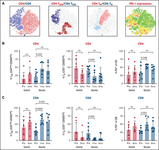 Bone marrow immunophenotyping after ASCT and mRNA-electroporated LC vaccines. BMMCs were analyzed by flow cytometry to profile the lymphocyte composition postvaccination in comparison with baseline (prevaccine) and an unvaccinated control cohort. (A) t-Distributed stochastic neighbor embedding plots at 3 months after vaccination showing CD4 and CD8 T cells (far left plot), CD4 and CD8 effector memory cells (TEM; CCR7negCD45RAneg) (middle left plot), CD4 and CD8 naive cells (TN; CCR7+CD45ROneg) (middle right plot), and PD-1–expressing CD4 and CD8 cells (far right plot). CD4 (B) and CD8 (C) effector memory, naive, and PD-1–expressing cells at 1 and 3 months after vaccines. Pooled data (mean ± standard deviation) are shown for patients in the control (red circles) and vaccine (blue squares) arms. ns, not significant; Pre, prevaccine.