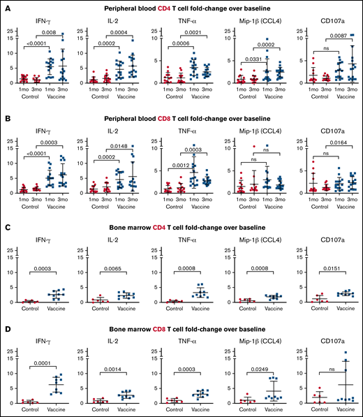 LC vaccines after ASCT stimulate antigen-specific CD4 and CD8 T-cell cytokine secretion and activation epitope expression. Postvaccination recall responses to CT7, MAGE-A3, and WT1 mRNA-electroporated LCs were measured as the fold change increase above prevaccine baseline using PBMCs at 1 and 3 months after vaccines (A-B) and BMMCs at 3 months after vaccines (C-D). Fold change in CD4 (A,C) and CD8 (B,D) T-cell proinflammatory cytokine (IFN-γ, IL-2, and TNF-α) secretion and activation epitope (CD107a and Mip-1β) expression. Pooled data (mean ± standard deviation) are shown for patients from the control (red circles) and vaccine (blue squares) arms. ns, not significant.