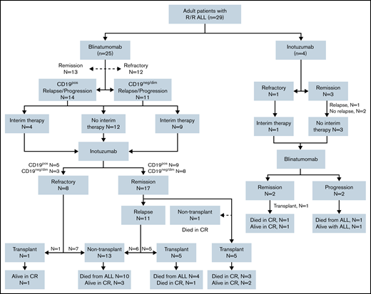 Consort diagram delineates treatment distribution of the entire cohort of 29 patients. Twenty-five patients received blinatumomab as the mAb1 and inotuzumab as the mAb2. Four patients received inotuzumab mAb1 and blinatumomab mAb2.