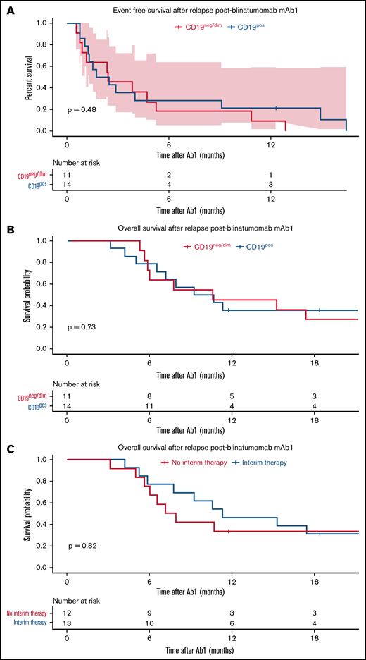 Survival after post-blinatumomab mAb1 relapse. (A) EFS as stratified according to the CD19 expression post-blinatumomab relapse. (B) OS as stratified according to the status of CD19 expression post-blinatumomab relapse. (C) OS as stratified according to receipt of interim salvage therapy between mAb1 and mAb2.