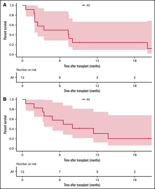 Kaplan-Meier survival estimate after alloHSCT in 12 patients who previously received blinatumomab and inotuzumab ozogamicin. (A) EFS. (B) OS.