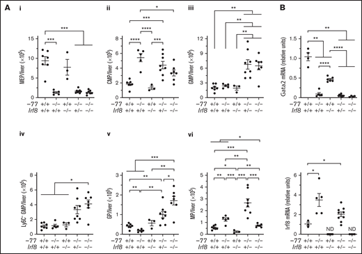GATA2-IRF8 axis differentially regulates fetal liver progenitor populations. (A) Quantitation of progenitor populations in E14.5 fetal livers obtained from 7 litters (−77+/+Irf8+/+, n = 7; −77−/−Irf8+/+, n = 5; −77+/+Irf8−/−, n = 3; −77−/−Irf8+/−, n = 8; −77−/−Irf8−/−, n = 7). (B) mRNA quantitation from sorted Ly6C− GMPs from 4 to 9 embryos obtained from 10 litters. Real-time PCR primers for quantitation of Irf8 transcripts selectively amplified the wild-type, but not mutant, allele. ND, not detected. Error bars for all plots represent mean ± SEM. *P < .05, **P < .01, ***P < .001, ****P < .0001; Welch’s unequal variance t tests.