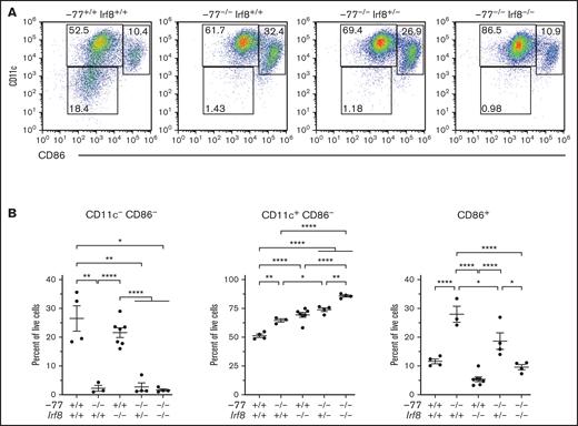 Enhanced dendritic cell differentiation of −77−/− CMPs requires IRF8. (A) Representative flow plots of dendritic cells differentiated from flow-sorted CMPs cultured with GM-CSF, IL-4, and TNFα. (B) Quantitation of dendritic cell populations using early (CD11c) and late (CD86) DC maturation markers. Data were obtained from 3 to 8 embryos (7 litters). The populations were pregated to exclude cell doublets and dead (4′,6-diamidino-2-phenylindole+) cells. Error bars represent mean ± SEM. *P < .05, **P < .01, ****P < .0001; Welch’s unequal variance t tests.