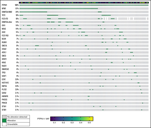 Oncoprint of mutations co-occurring with PTPN11 mutations and PTPN11 mutation VAFs in patients with AML. Each column represents an individual patient. The top row represents PTPN11 VAFs, ranging from 0.05 (blue) to 0.54 (yellow). Each subsequent row represents a gene. Green squares indicate the presence of a mutation, insertion, or deletion; gray squares represent no alteration detected; and white squares represent unavailable gene alteration status.