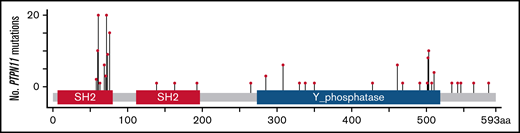 Lollipop plot depicting the location of PTPN11 mutations. aa, amino acid.