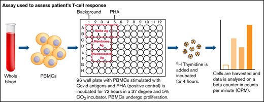 Assay used to assess patient’s T-cell response. Ag, antigen; PBMC, peripheral blood mononuclear cell; PHA, phytohemagglutinin.