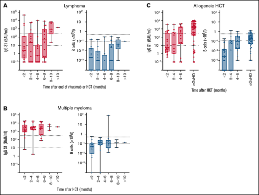 IgG S1 concentration and B cell numbers related to time after end of rituximab or HCT. (A) Patients with lymphoma after autologous HCT or after rituximab. (B) Multiple myeloma after autologous HCT. (C) Allogeneic HCT. Left panels: S1 IgG concentration with dotted lines specifying seroconversion (S1 IgG > 10 BAUs/mL) and sufficient S1 IgG concentration (≥300 BAUs/mL). Right panels: B-cell number with dotted lines at upper and lower limit of normal.