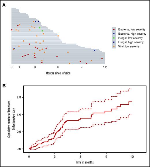 Infection incidence after BCMA CAR-T. (A) Swimmer's plot of infections up to disease progression within 1 year after BCMA CAR-T (gray bars on this plot indicate the duration from CAR-T infusion to either progression or death). (B) Cumulative number of infections/person over time after BCMA CAR-T (solid line indicates rate of infections over time, dotted lines indicate the corresponding pointwise 95% interval).