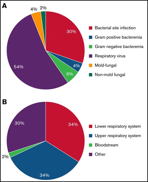 Classification of infections after BCMA CAR-T. (A) Infections by type and subtype. (B) Infections by organ system.