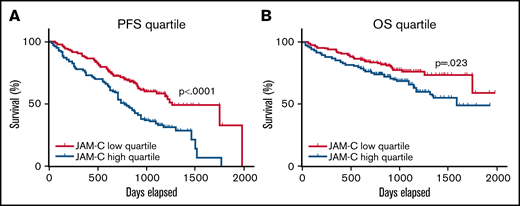 JAM-C high-expressing patients show worse PFS and OS. (A) PFS and (B) OS from the MMRF CoMMpass database regarding JAM-Chigh and JAM-Clow expressors. RNA sequencing (RNA-seq) expression derived from CD138-enriched cells from 572 patients with MM; JAM-Clow vs JAM-Chigh expressors are compared.