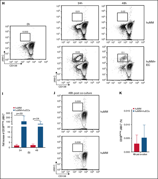 Direct contact of MM cells with ECs leads to a dynamic and reversible increase of CD138low/neg JAM-C+ cells in mice and humans. (A) Representative fluorescence-activated cell sorting (FACS) plots of surface CD138 and JAM-C expression on living MM cells at depicted time points of coculture without ECs (MM, upper panel) or with ECs (MM + ECs, lower panel) and (B) corresponding graphical display of increase in cell frequencies. (C) Representative FACS plots of surface CD138 and JAM-C expression on living MM cells grown without ECs for 48 hours in complete growth medium after the end of co-culture without ECs (upper panel) or with ECs (lower panel) and (D) corresponding graphical display of cell frequencies. Normalized relative transcription levels of (E) CD138 and (F) JAM-C messenger RNA (mRNA) within the MM cells cultured with ECs (MM + ECs) or without ECs (MM) determined by quantitative real-time polymerase chain reaction (qRT-PCR). (G) Normalized relative transcription levels of CD138 and JAM-C mRNA within MM cells cultured without ECS for 48 hours in complete growth medium after the end of EC co-culture compared with the expression level at 72 hours depicted in panels E and F (open columns). (H) Representative FACS plots of surface CD138 and JAM-C expression on living RPMI 8226 (MM) cells at depicted time points of co-culture without HUVECs (huMM, upper panel) or with HUVECs (huMM + ECs, lower panel) and (I) corresponding graphical display of increase in cell frequencies. (J) Representative FACS plots of surface CD138 and JAM-C expression on living huMM cells grown without ECs for 48 hours in complete growth medium after the end of co-culture without ECs (upper panel) or with ECs (lower panel) and (K) corresponding graphical display of cell frequencies. All experiments were independently repeated 3 times. Unpaired, two-tailed Student t tests were used. Error bars indicate SD for FACS analyses and standard error of the mean for qRT-PCR results.