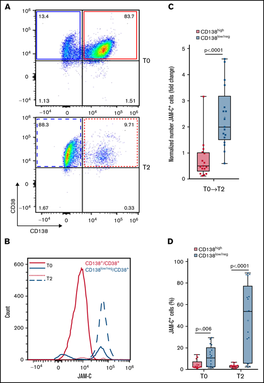 JAM-C is upregulated on CD138low/neg cells in BM of patients with MM. Representative FACS plots of surface CD138 expression on living human MM cells gated on CD45–CD56+CD38dim/+ cells in BM at (A) time of diagnosis (T0) and (B) x+1 relapse (T2). Representative graphical analysis (representative histograms) of JAM-C–expressing cells (count) in BM of patients with MM comparing CD138high (red) and CD138low/neg (blue) cells (gated on living CD45–CD56+CD38dim/+ cells) at T0 and T2. (C) Fold change in total numbers of JAM-C+ cells in BM of patients with MM (n = 17) divided into CD138high and CD138low/neg cells from T0 to T2 (Mann-Whitney U test; error bars indicate SD). The horizontal lines represent the mean. (D) Percentage of JAM-C+ cells in BM of patients with MM comparing CD138high and CD138low/neg populations at T0 and T2 (n = 17). Unpaired, two-tailed Student t tests were used. Error bars indicate SD. The horizontal lines represent the mean.