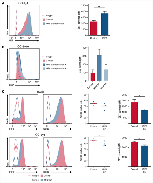 IRF8 directly affects the expression of CD37 in DLBCL cell lines. (A) Representative histogram (left) and quantification (right) of flow cytometry analysis of CD37 membrane expression on GFP-positive OCI-Ly1 cells transfected with empty IRES-EGFP (control) or IRF8-IRES-EGFP expression plasmid (IRF8). **P < .01, paired t test. Data represent mean + SEM of 4 independent experiments. (B) Representative histogram (left) and quantification (right) of flow cytometry analysis of CD37 membrane expression on 2 independent batches of OCI-Ly19 cells that stably overexpress IRF8. Data represent mean + SEM of 3 independent experiments. (C) Representative histograms (left) and quantification (right) of flow cytometry analysis of BJAB (top) and OCI-Ly8 (bottom) control and IRF8 KO cells. The percentage of IRF8-positive cells was determined as the percentage of cells with IRF8 signal above isotype level: *P < .05, unpaired t test. Quantification of CD37 expression: *P < .05, **P < .01, unpaired t test. Data represent mean + SEM of 4 independent experiments. Corrected gMFI: gMFI corrected for gMFI of isotype control.