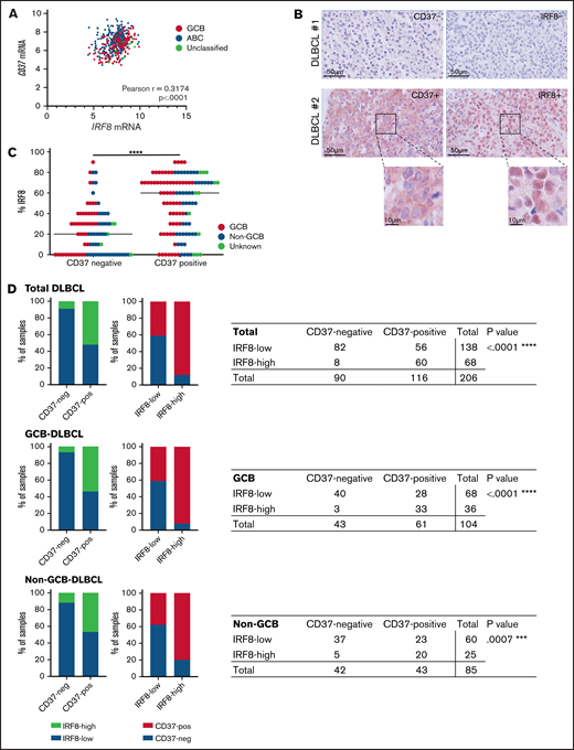 IRF8 expression correlates with CD37 expression in primary human DLBCL. (A) Analysis of IRF8 and CD37 mRNA levels in primary DLBCL (n = 498). Linear regression R2= 0.1007. Pearson correlation r = 0.3174; 95% CI, 0.2361-0.3943; ****P < .0001. (B) CD37 and IRF8 IHC staining (red) of 2 representative DLBCL biopsies: CD37/IRF8 double-negative (top) and CD37/IRF8 double-positive (bottom) human DLBCL. Cell nuclei were counterstained with hematoxylin (blue). (C) IHC staining of CD37 and IRF8 was scored in 206 primary DLBCL samples. The percentage indicates the percentage of IRF8-positive tumor cells per sample. Each dot represents 1 tumor sample. GCB/non-GCB status was known for 189 samples and is indicated (red: GCB; blue: non-GCB). The bar indicates the median percent IRF8 value per group. χ-square test of the absolute number of total DLBCL samples per group showed a significant association between the percentage of IRF8 and CD37 expression. ****P < .0001. (D) Samples were determined CD37-negative and IRF8-low when scoring was <10% and <60%, respectively. Data about GCB (middle) and non-GCB (bottom) status were available for 189 out of the 206 analyzed patients. P value shows the statistical significance obtained using Fisher’s exact test. ****P < .0001 (total DLBCL), ****P < .0001 (GCB), and ***P = .0007 (non-GCB).