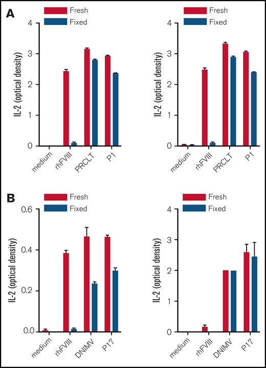 Peptides P1 and P17 are HLA-DRB1*1501–restricted FVIII apitopes. T-cell hybridoma clones derived from PRCLT- or DNIMV-immunized HLA-DR2tg mice were cocultured with an Epstein-Barr virus–transformed human HLA-DRB1*1501–expressing B cell line (MGAR). MGAR cells were left untreated (fresh) or were fixed with 0.5% paraformaldehyde (fixed) to prevent antigen processing. Recognition of peptides P1, P17, PRCLT, and DNIMV or rhFVIII by 2 clones specific for PRCLT (A) and 2 clones specific for DNIMV (B) was addressed after 48 hours by analyzing IL-2 cytokine secretion in the supernatants by ELISA.