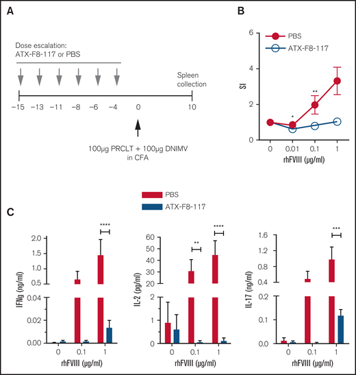 ATX-F8-117 induces FVIII-specific T-cell unresponsiveness in humanized HLA-DR2tg mice. (A) Groups of 8 to 10 HLA-DR2tg mice (FVIII+/+) were pretreated with a combination of peptides P1 and P17 (ATX-F8-117), according to the dose-escalation scheme (0.1-1-10-100-100-100µg of each peptide), or PBS. Following pretreatment, mice were immunized with peptides PRCLT and DNIMV in complete Freund adjuvant (CFA) containing 400 µg of heat-killed M tuberculosis. (B) T-cell activation was assessed 10 days after the immunization by determining the proliferation of splenocytes upon restimulation with rhFVIII. Data are mean ± standard error of the mean (SEM). *P < .05, **P < .01, repeated-measures 2-way analysis of variance (ANOVA) of log-transformed data. (C) Cytokine content of the cell culture supernatants restimulated with rhFVIII was analyzed using cytokine bead array technology. Data are mean ± SEM. **P < .01, ***P < .001, ****P < .0001, repeated-measures 2-way ANOVA and Bonferroni post test. IFN-g, interferon-γ; SI, stimulation index.