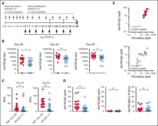 Preventive treatment with ATX-F8-117 reduces FVIII inhibitor formation in an FVIII antibody model. (A) Groups of 18 or 19 HLA-DR2tg mice (FVIII+/+) were treated by dose escalation with ATX-F8-117 or PAP 133-152 as a peptide control. Four days after the peptide pretreatment, mice were primed 8 times, at weekly intervals, via subcutaneous (s.c.) flank injections with 1 µg of rhFVIII. Treatment with ATX-F8-117 or PAP 133-152 control was continued once weekly for 8 additional weeks starting 3 days after the initial FVIII priming. Plasma samples were collected from both treatment groups as indicated (B = bleed). (B) Plasma was collected at days 28, 42, and 56, and total anti-FVIII IgG levels were determined by ELISA. Graphs show end point anti-FVIII IgG titers on a log-scale; data are mean ± standard error of the mean (SEM). Each circle represents 1 mouse. Open blue circles, ATX-F8-117; filled red circles, PAP 133-152. (C) FVIII inhibitors from plasma collected at the indicated time points were analyzed using a modified Bethesda assay. Data are mean ± SEM; each circle represents 1 mouse. (D) Plasma was collected at day 56, and anti-FVIII IgG subclass distribution was determined by ELISA. Data are mean ± SEM; each circle represents 1 mouse. *P < .05, **P < .01, ***P < .001, 2-tailed Mann-Whitney U test (B-D). (E) Correlation between anti-FVIII IgG1 subclass antibodies and FVIII inhibitors in plasma samples collected at day 56 from animals treated with PAP 133-152 (upper panel) or ATX-F8-117 (lower panel) using 2-tailed nonparametric Spearman correlation analysis (r); 95% confidence intervals are also shown. Data are representative of 2 experiments performed. ***P < .001, ****P < .0001. ns, not significant; Open blue circles, ATX-F8-117; filled red circles, PAP 133-152.