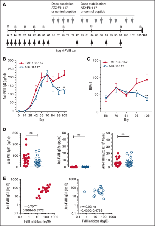 Therapeutic application of ATX-F8-117 reduces the formation of new FVIII inhibitor antibodies in a primed FVIII antibody model. (A) Groups of 20 HLA-DR2tg mice (FVIII+/+) were primed with 10 weekly immunizations of rhFVIII, followed by dose-escalation treatment with ATX-F8-117 or PAP 133-152 via subcutaneous flank injections. Three days after the dose-escalating peptide treatment, mice were primed 4 times, at weekly intervals, via subcutaneous (s.c.) flank injections with 1 µg of rhFVIII. Treatment with ATX-F8-117 or PAP 133-152 control was continued twice weekly starting 2 days after FVIII priming. Plasma samples were collected from both treatment groups as indicated (B = bleed). (B) Plasma was collected at the indicated time points, and total anti-FVIII IgG levels were determined by ELISA. Data are mean ± standard error of the mean (SEM). (C) FVIII inhibitors from plasma collected at the indicated time points were analyzed using a modified Bethesda assay. Data are mean ± SEM. (D) Plasma was collected at day 105-106, and anti-FVIII IgG subclass distribution was determined by ELISA. Each circle represents 1 mouse; data are mean ± SEM. Open blue circles, ATX-F8-117; filled red circles, PAP 133-152.*P < .05, **P < .01, robust regression model using M estimation, Huber weighting, and the default parameter c = 1.345 with treatment as a factor and day 56 data as a covariate (B-C). (E) Correlation between anti-FVIII IgG1 subclass antibodies and FVIII inhibitors in plasma samples collected at day 105-106 from animal treated with PAP 133-152 (left panel) or ATX-F8-117 (right panel) using 2-tailed nonparametric Spearman correlation analysis (r); 95% confidence intervals are also shown. ***P < .001. ns, not significant.