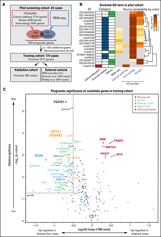 Identification of predicting factors for DLBCL outcomes. (A) Schematic representation of overall study design. Thirty cases of newly diagnosed DLBCL were recruited for a pilot screen using nCounter and RNA-seq methods, followed by analysis of 2 larger nCounter cohorts (training and validation cohort). (B) GO analysis of candidate prognostic genes from the pilot screen, which was performed using the Metascape web application (http://metascape.org). Enriched GO terms are shown by ID, category, and derived pilot cohort. Probabilities (adjusted P values) are depicted by color. Most prognostic genes were linked to immune-related terms, irrespective of source. (C) A volcano plot indicates differentially expressed genes as favorable (left) and poor (right) prognostic factors in the training cohort. Most unfavorable indicators were cell cycle-related (magenta). Note that many microenvironmental cell-related genes were associated with favorable prognoses. A Mann-Whitney U test (unpaired) with bootstrap was performed to calculate P values.