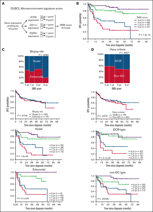 Clinical impact of DLBCL microenvironment-based stratification model. (A) Schematic representation showing the scoring system used to calculate DMS score. (B) Kaplan-Meier DFS curve based on DMS score. (C-F) Mosaic plots showing correlation of DMS score with disease site and canonical prognostic models: (C) disease site (n = 170), (D) Hans criteria (n = 160), (E) Lymph2Cx (n = 170), (F) IPI score (n = 152). The correlation was calculated using the Fisher's exact test. DMS-low cases were enriched in ABC-type DLBCL, based on Lymph2Cx, and vice versa, but we observed no correlation with Hans criteria or IPI score. Shown are Kaplan-Meier DFS curves based on disease site, Hans criteria, Lymph2Cx (31 unclassified cases were excluded), and IPI in all cases and by DMS score in each subgroup. The DMS score had prognostic value in all subtypes, based on these classifications. A log-rank test was used for survival analysis.