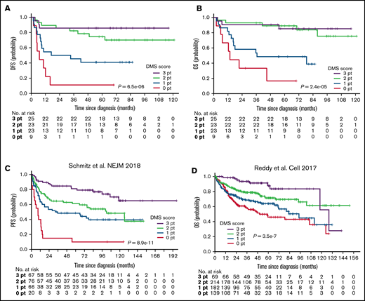 Validation of DMS score using independent cohort and 2 publicly available data sets. (A,B) Kaplan-Meier analyses of (A) DFS and (B) OS based on DMS score using a validation cohort. A log-rank test was used for survival analysis. (C,D) Kaplan-Meier analyses of (C) PFS in Schmitz cohort and (D) OS in Reddy cohort based on DMS score. A log-rank test was used for survival analysis.