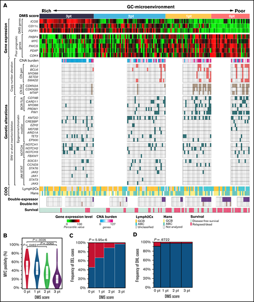 The relationship between the GC-microenvironmental signature and multiomics prognostic factors. (A) Integrated visualization of transcriptome data from nCounter analysis, genetic alterations, and COO classification combined with DMS score in 170 DLBCL cases. DMS scores were calculated based on enrichment of ICOS (follicular T cells), CD11c (DCs/macrophages), and FGFR1 (stromal cells). Gene expression levels were shown as percentile of the normalized expression values in each gene. CNA burden was represented by the number of genes involved in the CNA region. Tumor activity-related signatures, such as expression levels of proliferation-related genes or the number of genes showing CNA and BCR-TLR signaling mutations, were enriched as the DMS score decreased. (B) The difference of MYC protein expression by DMS score. MYC protein positivity was analyzed by IHC. P values were calculated using the Steel-Dwass test. (C) MYC and BCL2 protein levels were assessed by immunohistochemistry, and cases positive for both MYC and BCL2 were defined as DEL. DELs (magenta) exhibited low DMS scores. Fisher’s exact test was performed to calculate P value. (D) The frequency of DHL by each DMS score is shown. Fisher’s exact test was performed to calculate P value.