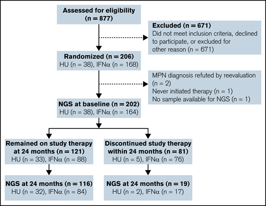 Trial flowchart. NGS was performed on 202 primary MPN samples and 135 samples obtained 24 months after initiation of therapy with either HU or IFNα (IFNα-2a or IFNα-2b). One patient allocated to IFN-α died within 24 months.