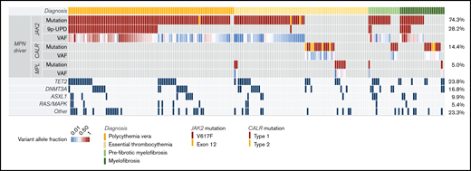 Genomic profiling of somatic mutations in baseline samples by NGS (comutation plot). Each column represents 1 patient (n = 202), and the rows represent different somatic mutations. The VAF for each phenotypic driver mutation is color coded. The frequency of specific somatic mutations is listed on the right border of the figure. Somatic mutations in 34 different genes were detected in 191 (95%) patients, including 92% with MPN phenotypic driver mutations: JAK2, 74%; CALR, 14%; or MPL, 5%. JAK2-UPD was observed in 28% and was significantly associated with PV (Kruskal-Wallis test, P < .0001). The most frequent concomitant mutations affected 3 genes: TET2 (24%), DNMT3A (16%), and ASXL1 (10%). 9p-UPD, uniparental disomy of chromosome 9p.
