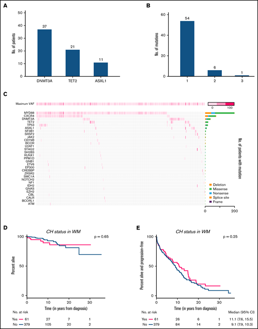 Mutational spectrum in patients with WM. (A) The total number of symptomatic patients with WM harboring ≥1 mutations in each gene. (B) The number of symptomatic patients with WM harboring mutations in 1, 2, and 3 different genes. (C) Co-mutation plot showing mutations present in all 258 patients: each column represents a single patient. The top row denotes the maximum VAF in each patient, with darker shades of pink indicating higher VAF. The bar graph on the right designates the proportion of the different mutation subtypes for each gene. OS (D) and PFS (E) among patients with WM with CH vs those without CH.